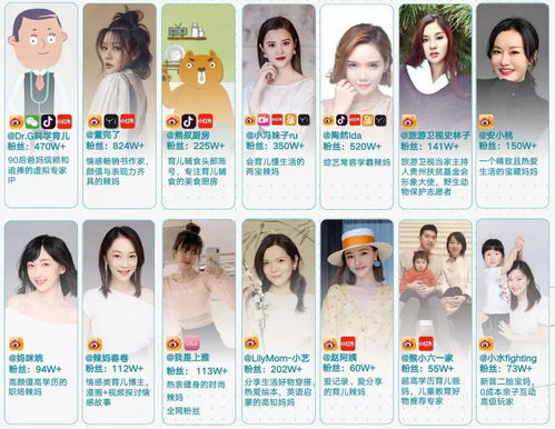 從頭部MCN到綜合型內(nèi)容傳媒 文心會(huì)員與青藤文化的數(shù)字化轉(zhuǎn)型與內(nèi)容制作服務(wù)探索